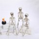 thumbnail image 5 of Huesos plásticos esqueléticos del cuerpo completo de la decoración de Halloween con las articulaciones posables los 40cm, 5 of 5