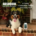 thumbnail image 4 of Nutramax Dasuquin for Small to Medium Dogs, Joint Health Supplement, Contains Glucosamine for Dogs, Plus Chondroitin, ASU and More, Supports Healthy Joints, Chewable Tablets, 150 Count, 4 of 11