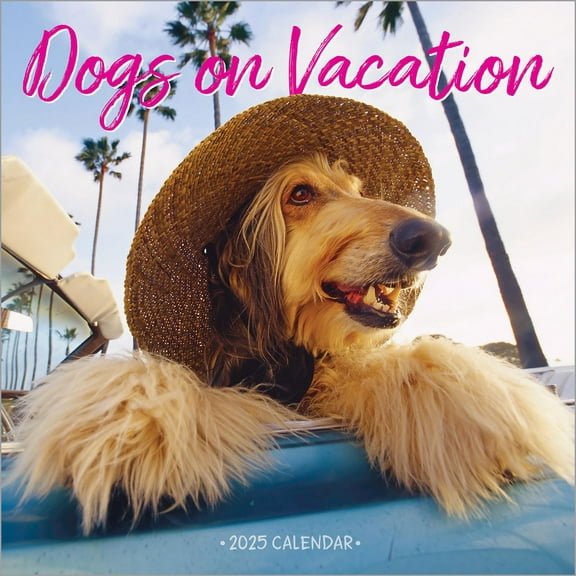 Dogs on Vacation Wall Calendar 2025, (Paperback)