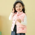 thumbnail image 6 of Esaierr 2-10 Years Boys Girls Sleeveless Jacket down Vest for Kids Baby,Fall Winter Printed Stand Collar Waistcoat Outerwear Coats with Pockets, 6 of 9