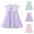 thumbnail image 1 of LOVZFMLL Girls' Summer Short Sleeve Ruffled Lace Round-Neck Embroidery Mesh Princess Bow Skirt, 1 of 8