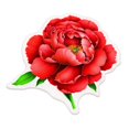 thumbnail image 2 of Flower Carpet Chinese Style Lotus Floor Mat Bedside Blanket Cloakroom Mat, 2 of 5