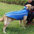 thumbnail image 2 of Abrigo para perros Chaqueta suave y cálida para mascotas Ropa impermeable para perros con tiras reflectantes y cremallera Chaleco de invierno para cachorros con orificio para el arnés Muyoka Hogar, 2 of 6