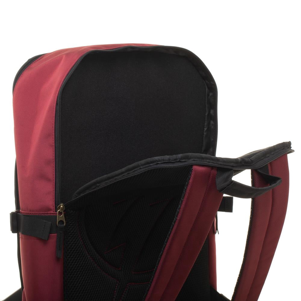 Adult Flash Double Pocket Backpack, Adult, Bioworld, Multicolored