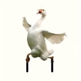 thumbnail image 4 of Clearance! Acrylic Duck Decorative Garden Stakes- Funny Metal Yard Art for Garden, Yard, Lawn, Outdoor Decor- Idea Duck Gifts for Women, Men(Multicolor), 4 of 5