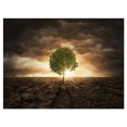 thumbnail image 2 of Design Art - Lonely Tree under Dramatic Sky, 2 of 3