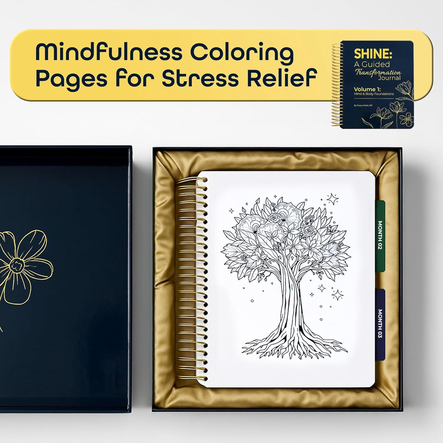 SHINE Guided Transformation Journal by Dr. Tracey Marks | 12-Week Mental Health & -Care Workbook for Women Men