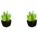 thumbnail image 3 of Plantas suculentas artificiales en macetas de cerámica Yuarrent tipo 1 2Conjunto, 3 of 6