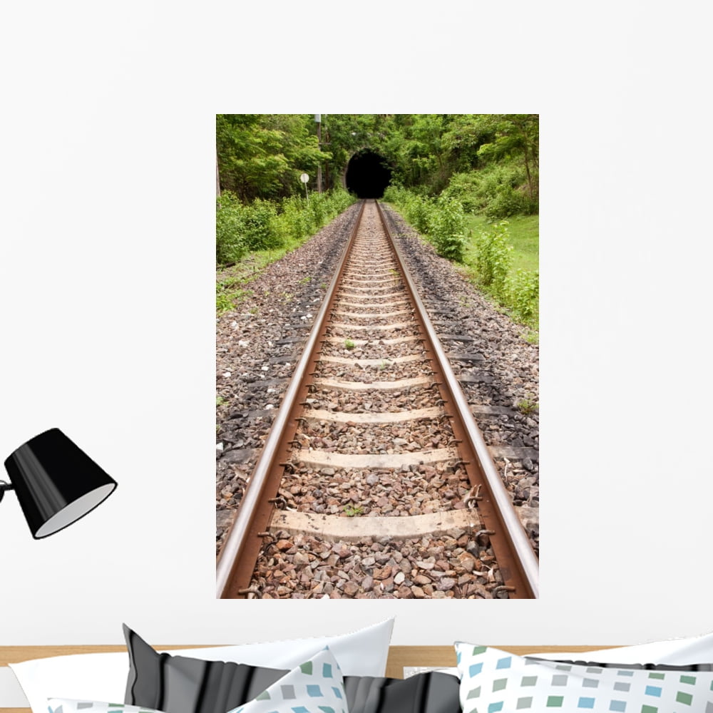 Entrance Train Tunnel Wall Mural by Wallmonkeys Peel and Stick Graphic