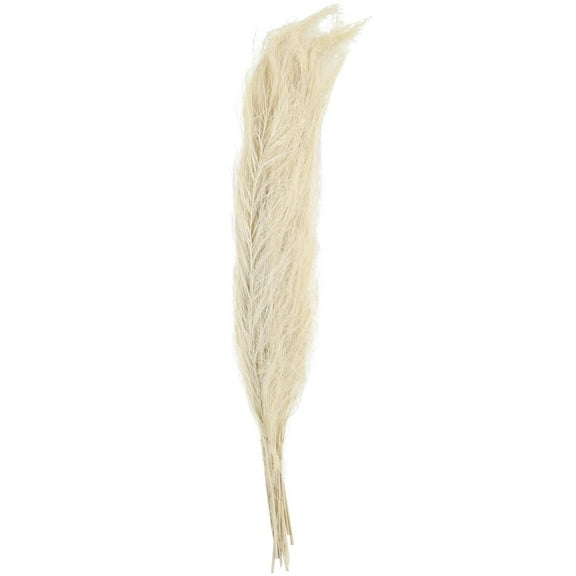 35" Tall Grass Dried Plant Natural Foliage Feather Like Leaves Bouquet with Stems, by DecMode