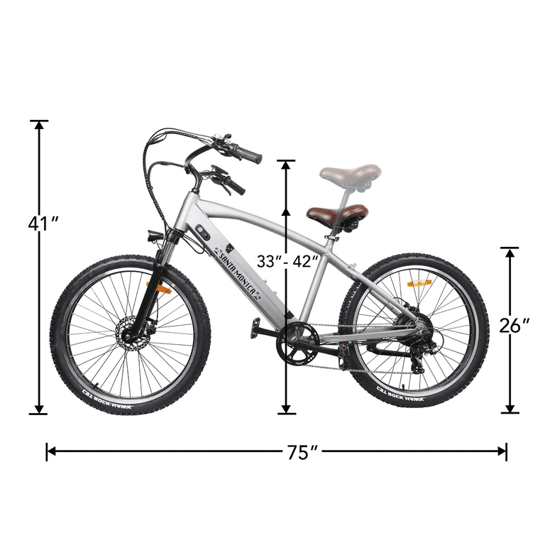 Schwinn santa monica bike 2025