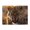 500 Pieces, variant on 500-Piece Wooden Jigsaw Puzzle for Adults & Families - Leopard Aggressive Fangs , Fun & Educational Brain-Teasing Game, Artistic Home Decor