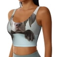 thumbnail image 2 of Balery Adorable Puppy Portrait Sujetadores deportivos con espalda cruzada para mujer, acolchados, sin costuras, de alto impacto, ideales para yoga, gimnasio, entrenamiento y fitness.-Large, 2 of 8