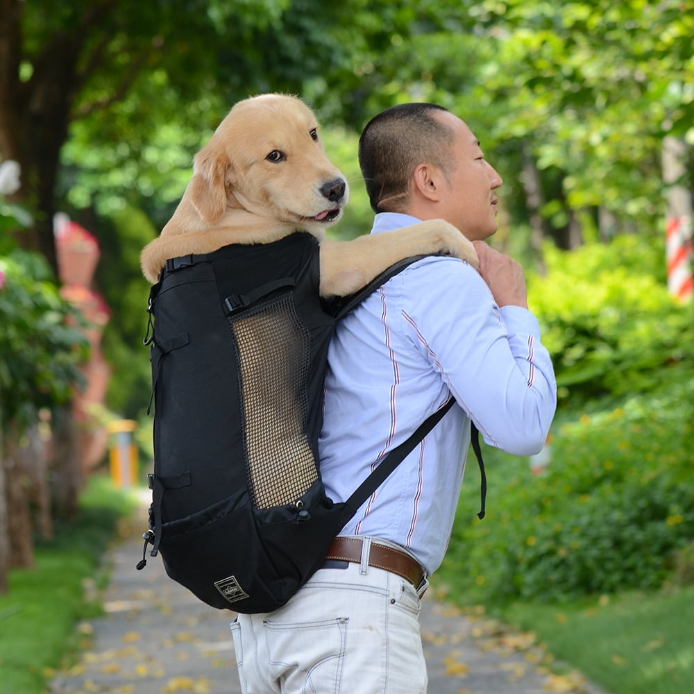 Dog backpack carrier for large dogs hotsell