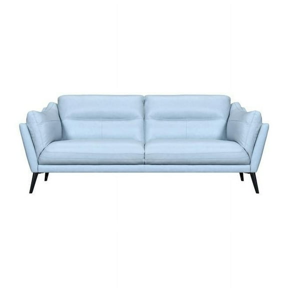 HomeRoots 546414 35 x 87 x 38 in. Sky Blue & Black Leather Sofa