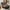 Gray, variant on 3 in 1 Convertible Chair Bed,Lofka Lounger Sleeper Chair Bed, Linen Sofa Bed Sleeper Armchair,Dream Pink