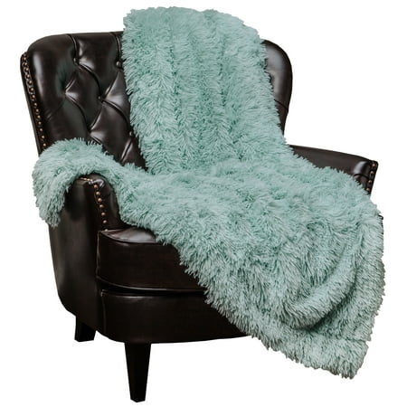 Chanasya Super Soft Shaggy Longfur Throw Blanket Snuggly Fuzzy Faux Fur Lightweight Warm Elegant Cozy Plush Sherpa Microfiber Blanket For Couch Bed Chair Photo Props - 60 "x 70" - Aqua Turquoise