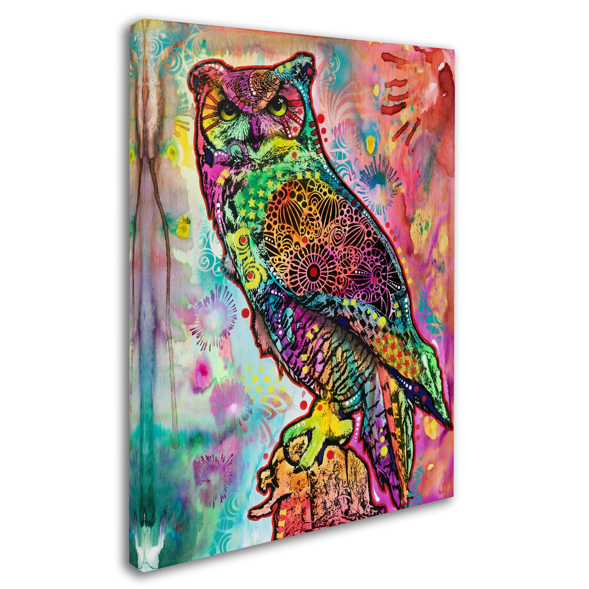 Trademark Fine Art 'Wise Owl' Canvas Art by Dean Russo