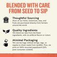 thumbnail image 4 of Probióticos de melocotón Tea Celestial Seasonings sin cafeína, 6 unidades, 4 of 6