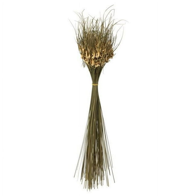 Vickerman H2TLP000-4 26 in. Natural Tulip Star with 4 oz Bundle