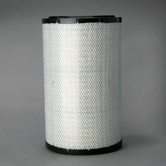Donaldson P608885 Air Filter, Primary