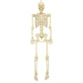 thumbnail image 2 of 5ft Light Up Poseable Skeleton Decoration, Halloween Outdoor Decor, by Way To Celebrate, 2 of 4