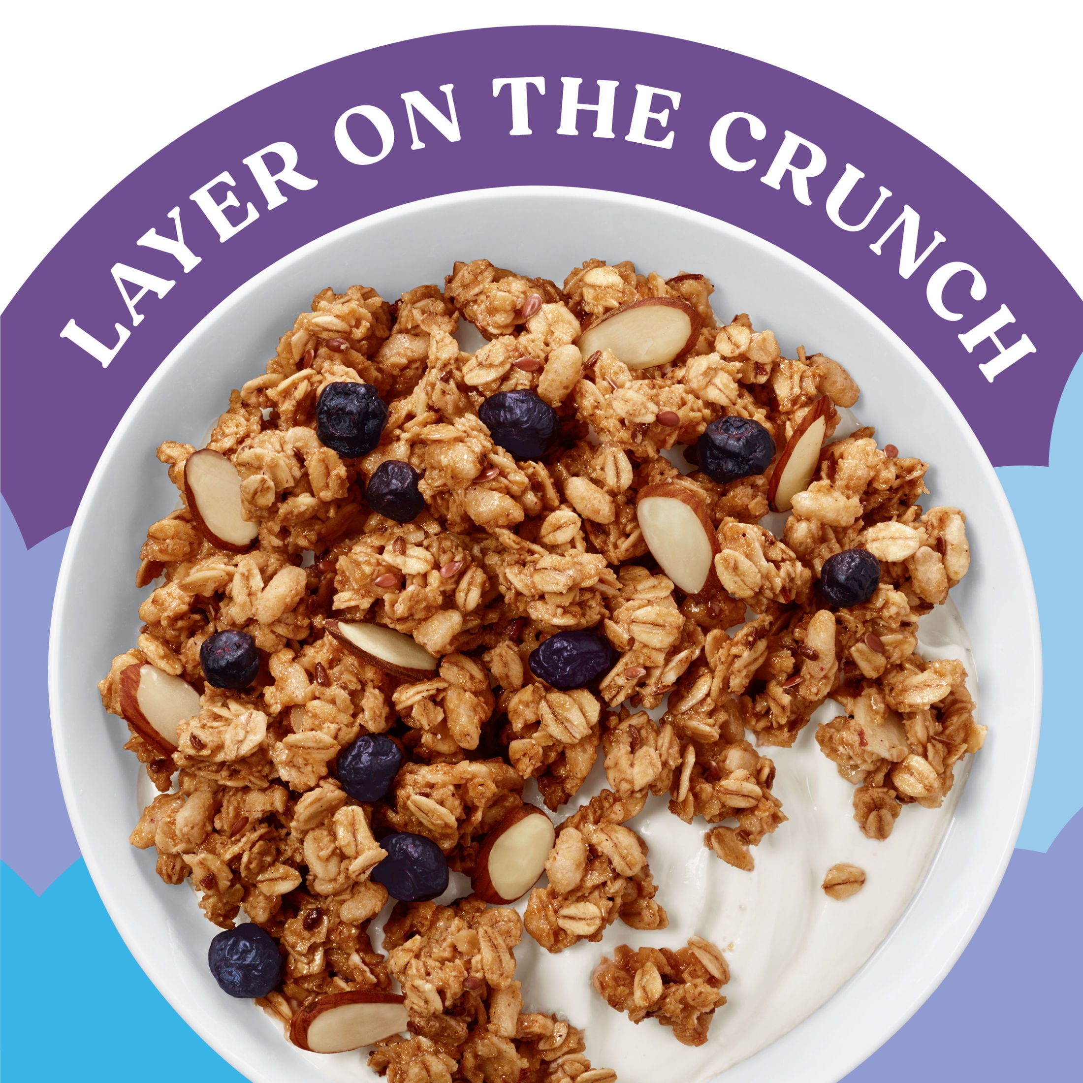 (5 pack) Kashi Gut Health Blueberry Almond Granola, Prebiotics and High Fiber Bag, 8 oz