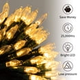 thumbnail image 2 of Luces navideñas Brightown con batería de 18 pies y 50 LED, color blanco cálido, 2 of 8