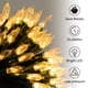 thumbnail image 2 of Luces navideñas Brightown con batería de 18 pies y 50 LED, color blanco cálido, 2 of 8