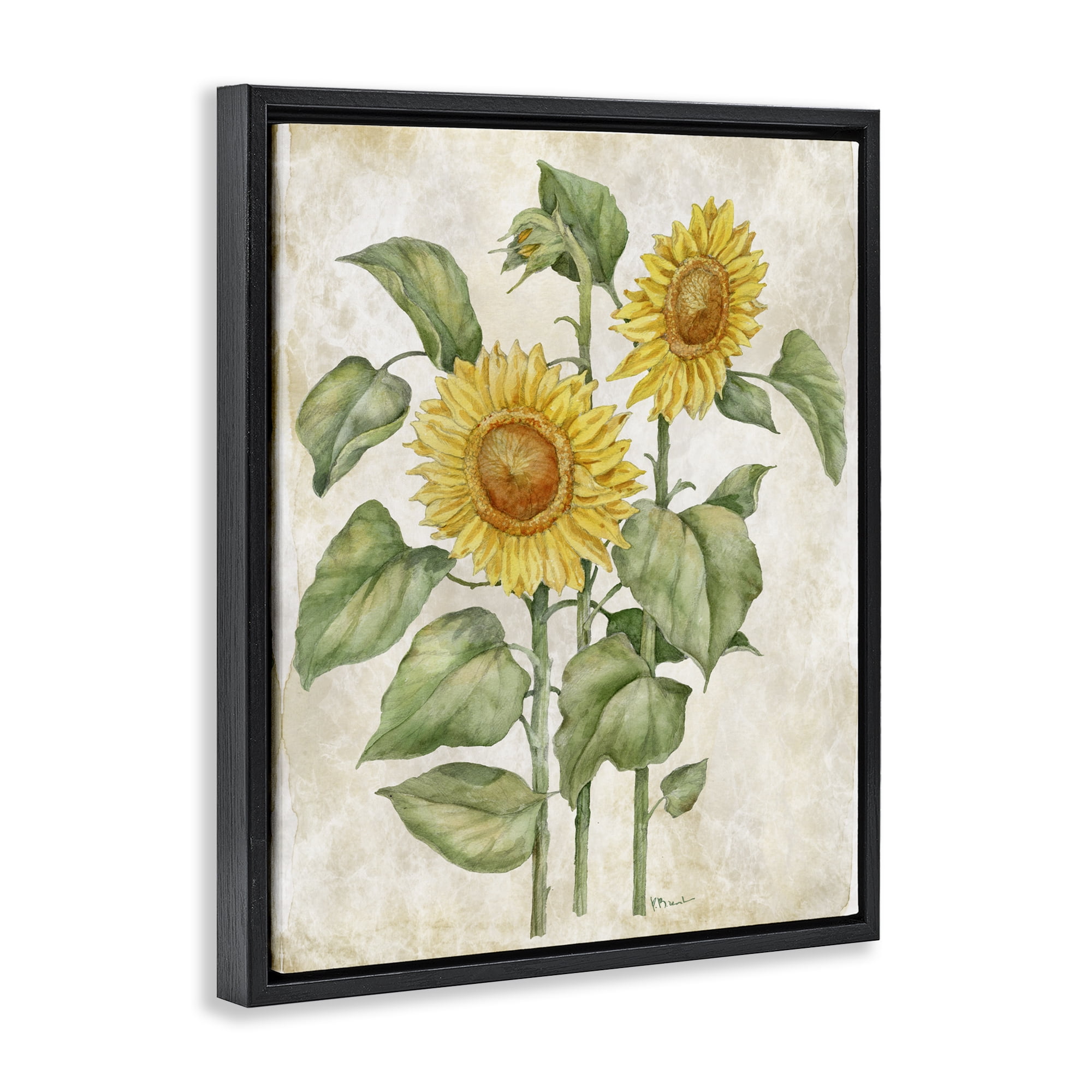 Stupell Industries Floral Journal Vintage Sunflower Black Framed Floater Canvas Wall Art, design by Paul Brent