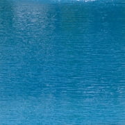 The Pond Guy PondShade True Blue Pond Dye, Liquid Dye Concentrate, Clean & Clear Water, Enhances Natural Color, Treats up to 1 Acre, 1 Gallon