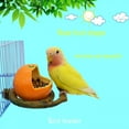 thumbnail image 6 of Parrot Feeder Fruit Shape Bird Orange Pomegranate Food Water Feeding Bowl Container Feeders for Crates Cages Coop Pet, 6 of 6