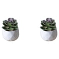 thumbnail image 3 of Moyic Mini de oficina de flores falsas de bonsái de simulación suculenta artificial Type2 NO2, 3 of 6