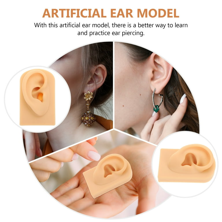 Silicone Ear Model Piercing Fake Artificial Models Teaching Instructions Human Grade