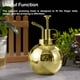 thumbnail image 5 of Wosthever Plantas Jardinería Flor Botella de spray Regadera Suculenta Boquilla de nebulización Aspersor Interior Hogar Bonsai Rociador Herramienta Jardín y Patio Oro Wosthever HA083554-01, 5 of 6