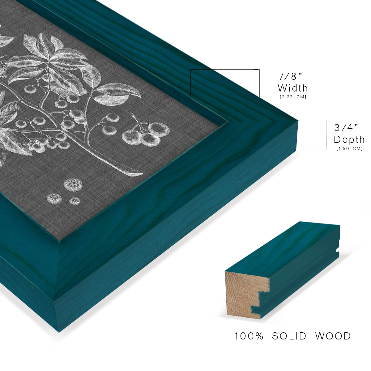 Graphic Foliage VI - Framed Print w/glass - Ocean Blue