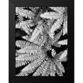 thumbnail image 2 of Christensen, Jim 15x18 Black Modern Framed Museum Art Print Titled - Fern IV, 2 of 5