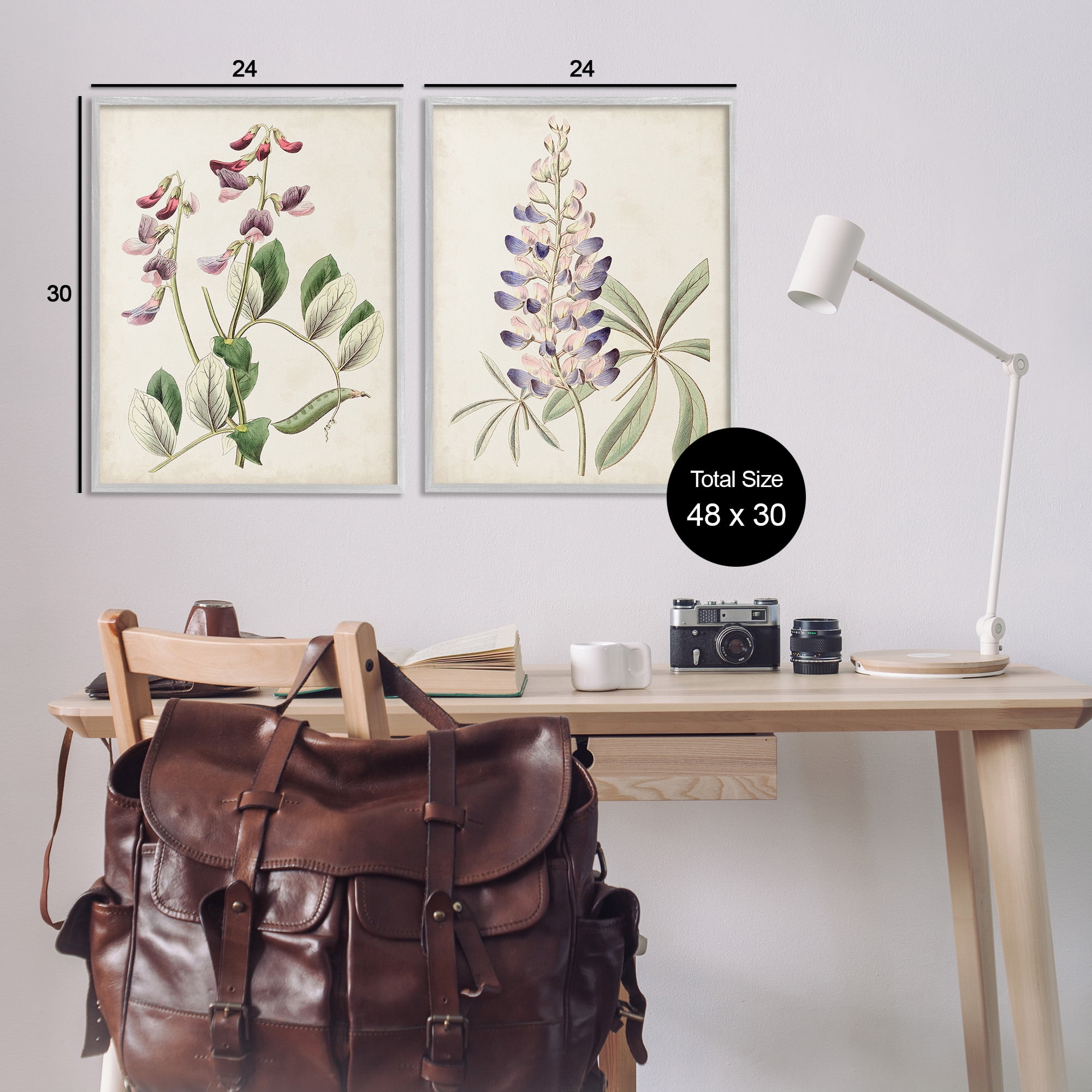 Stupell Industries Foxglove Latin Studies Botanical & Floral Painting Gray Framed Art Print Wall Art, 24 x 30, Set of 2