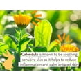 thumbnail image 3 of Babo Botanicals Moisturizing Oat & Calendula Miracle Face Cream - Shea Butter - For Dry Or Sensitive Skin - For All Ages - Vegan, 3 of 3