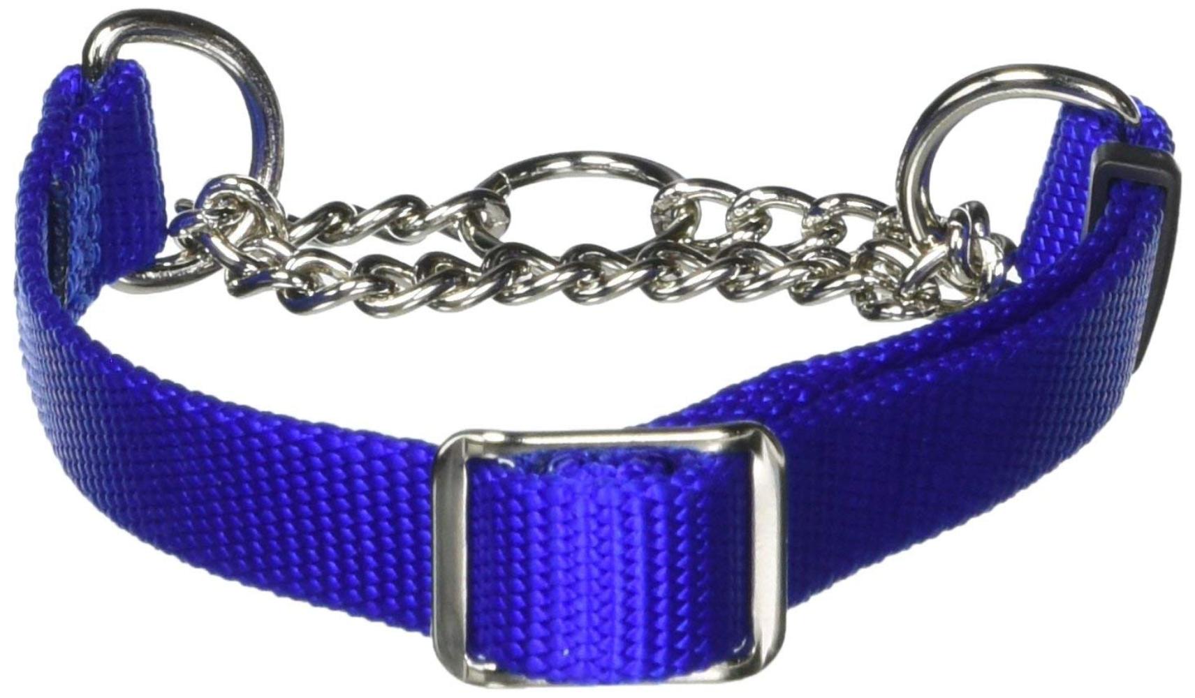 humane choke collar dog