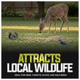 thumbnail image 6 of Sun Joe Whole Corn Feed for Deer, Bird, Squirrel, Chicken and Wildlife Feeder, 50 lb Bag, 6 of 11