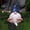 Blue, variant on Fnyoxu Garden Gnome Ornament - Charming and Whimsical for Outdoor Decor,Crafted with Durable Materials - Lively Addition to Flowerbeds or Patios,Perfect Gift for Garden Lovers