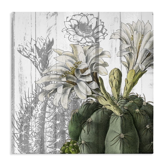 Stupell Industries Farmhouse Cactus with White Blooming Flowers and Soft Grey Background Canvas Art, 24 x 24, by Kim Allen