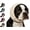 Beige,Small#6, variant on Dog Ear Muffs for Noise Canceling, Secure Stable Fit for Fireworks, Thunder & Vet Visits (Blue,Small)