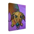 thumbnail image 2 of Robert Phelps Art 'Dachshund on Purple' Canvas Art, 2 of 3