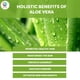 thumbnail image 5 of Mascarilla facial hidratante Yogi's Gift con aloe vera en polvo, 240 ml, 5 of 6