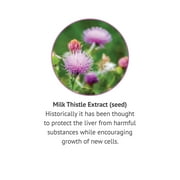 Botanic Choice Milk Thistle Extract Liquid, Historic Liver Support Dietary Supplements, 1 Fl. Oz