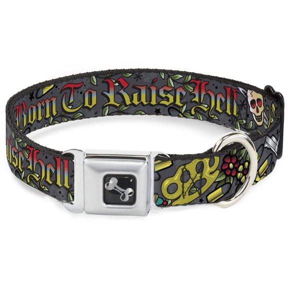 Buckle-Down Pet Collar, Dog Collar Metal Seatbelt Buckle, Born to Raise Hell Gray, 9.5 to 13 Inches 1.0 Inch Wide