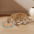 thumbnail image 3 of Interactive Slow Feeder Bowl for Dogs and Cats with Suction Cups Training Aid and Grooming Tool for, 3 of 4