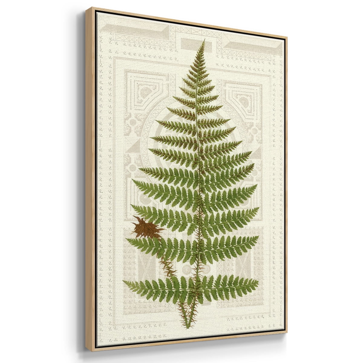 Garden Ferns V - Framed Gallery Wrapped Holiday Canvas - 17 x 25 - Natural Wood Frame